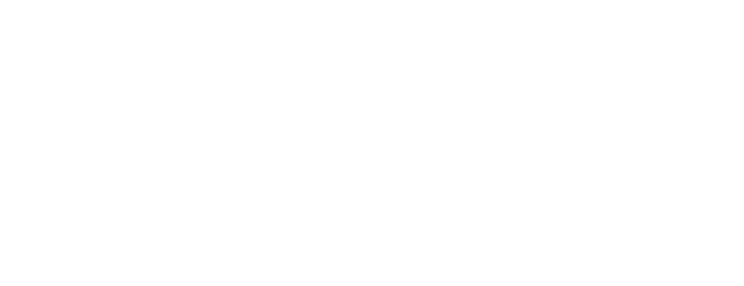 Stability Partners